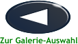 Zur Galerie-Auswahl