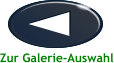 Zur Galerie-Auswahl